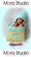 /album/bebe1/a293426-265046416865342-205443986158919-664811-960840406-n-jpg/