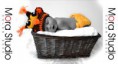 /album/bebe1/a313182-265046460198671-205443986158919-664812-1610398236-n-jpg/