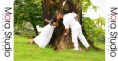/album/bodas/a268719-226134224089895-205443986158919-555921-1205604-n-jpg/